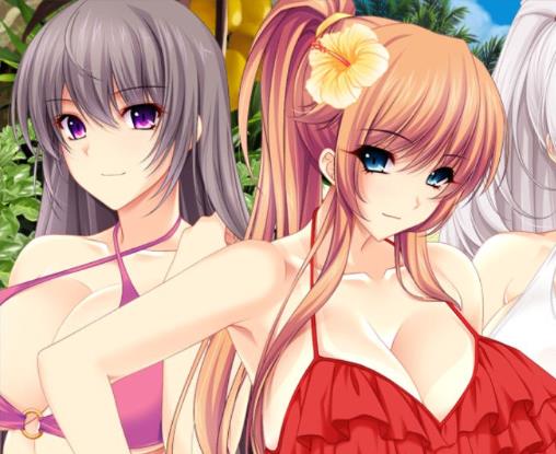  [竹子社] 夏汁100% V2 精翻完整汉化版+存档【佳作/6.5G】nyx22170-八角形