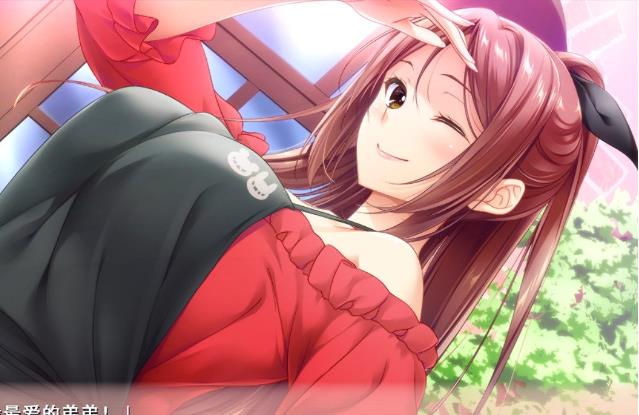 姐姐推荐~和姐姐的恶作剧生活 精翻汉化版+存档【佳作/4G】nyx2203-八角形